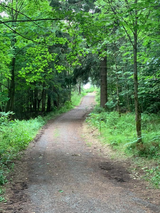 Appartamento Fuehl Dich Wohl Braunlage Esterno foto