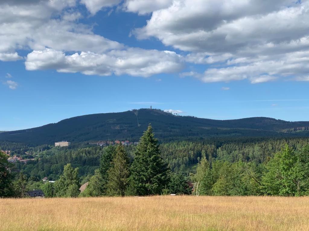 Appartamento Fuehl Dich Wohl Braunlage Esterno foto